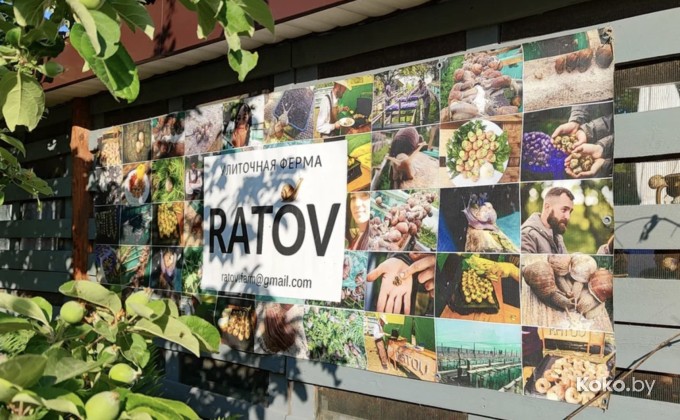 Ratov / Улитка - галерея 4