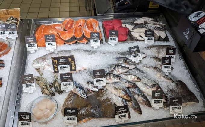 John Dory / Джон Дори - галерея 5