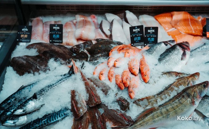 John Dory / Джон Дори - галерея 2