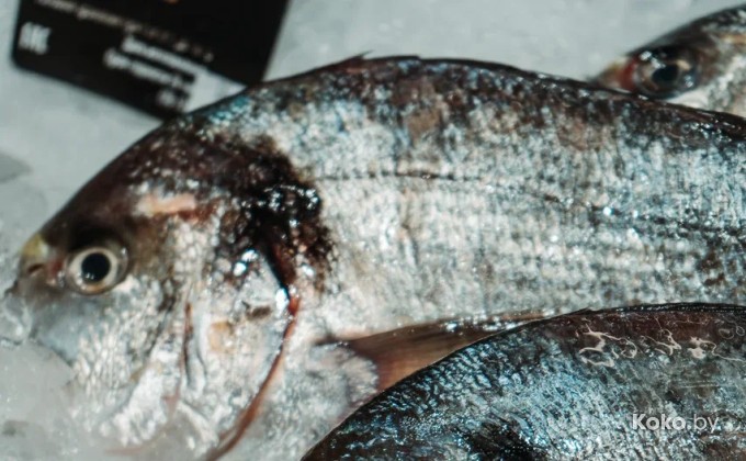 John Dory / Джон Дори ТРЦ Арена Сити - галерея 2