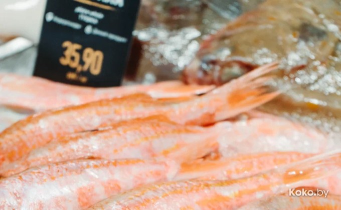 John Dory / Джон Дори Новая Боровая - галерея 5