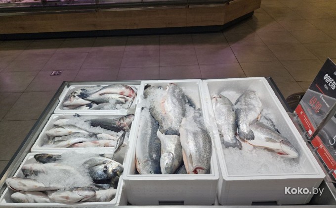 John Dory / Джон Дори Валерьяново - галерея 4