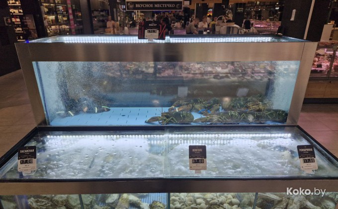 John Dory / Джон Дори Валерьяново - галерея 5