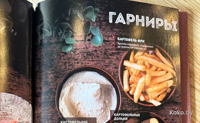 Красный медведь - галерея 23