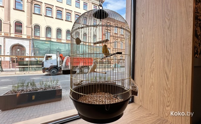 Coffee Embassy / Кофе Эмбасси на Маркса - галерея 13