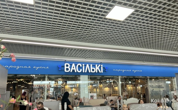 Васильки ТЦ Дана Молл - галерея 1