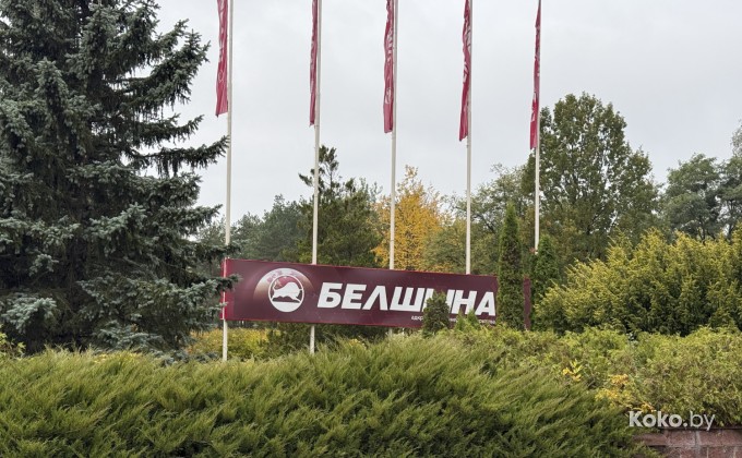 Белшина - галерея 1