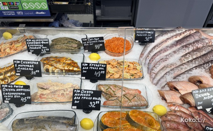 Санта Фиш - галерея 3