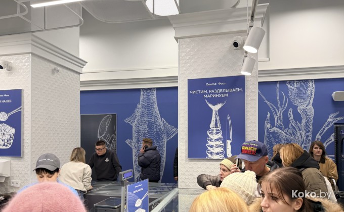 Санта Фиш - галерея 5