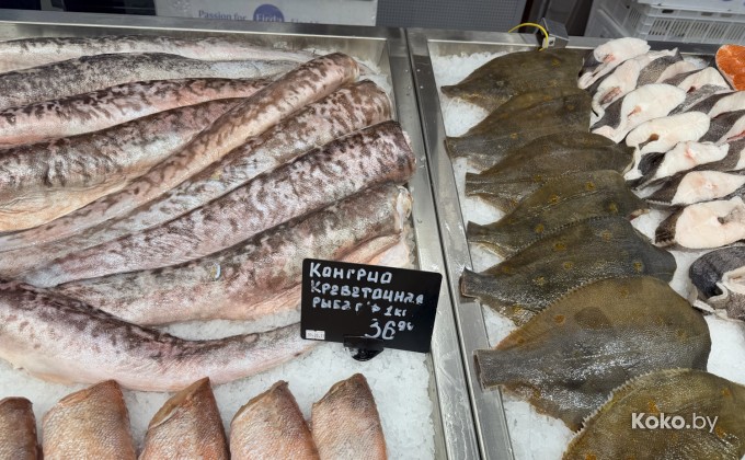 Санта Фиш - галерея 8