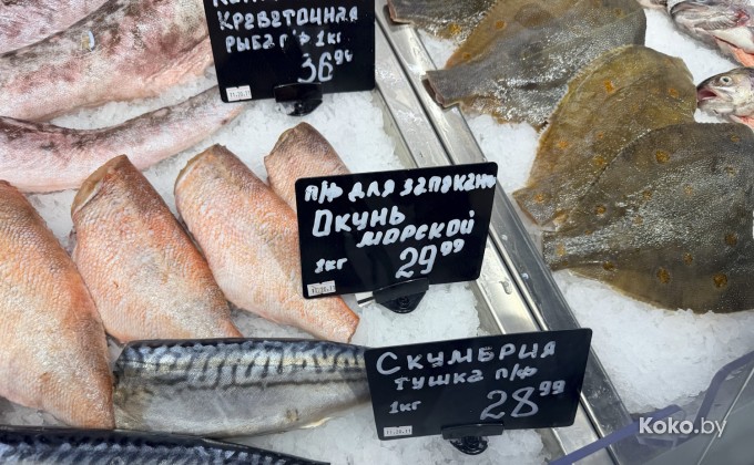 Санта Фиш - галерея 9