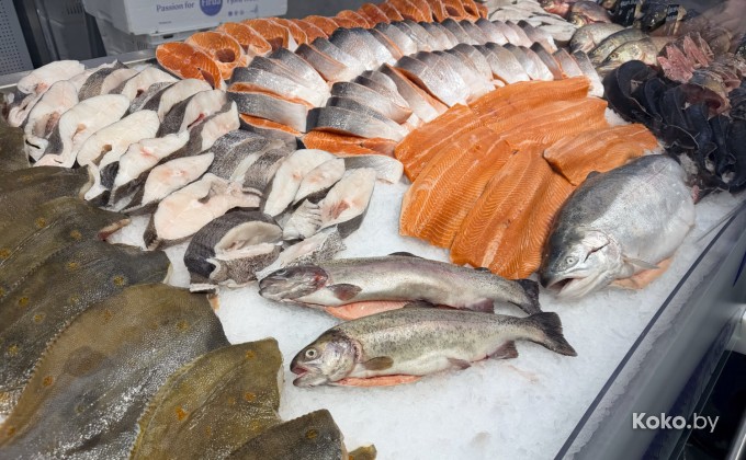 Санта Фиш - галерея 10