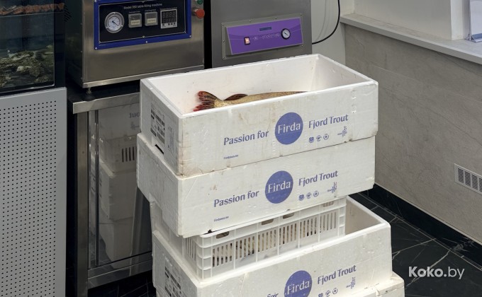 Санта Фиш - галерея 12