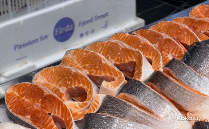 Санта Фиш - галерея 13