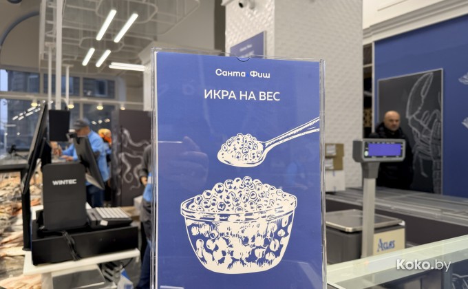 Санта Фиш - галерея 15