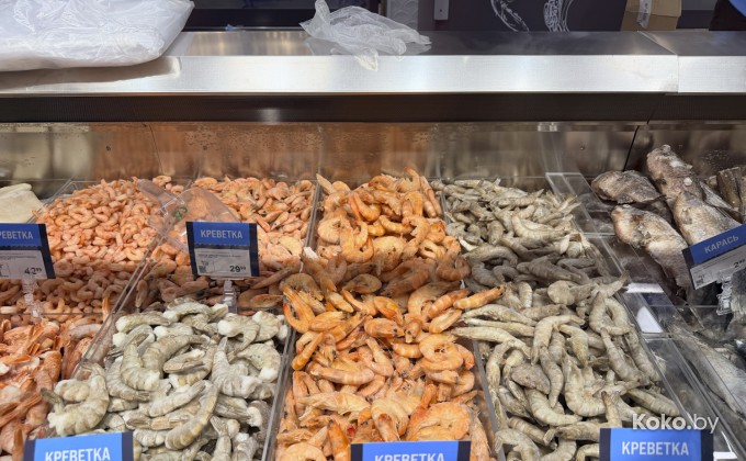 Санта Фиш - галерея 22