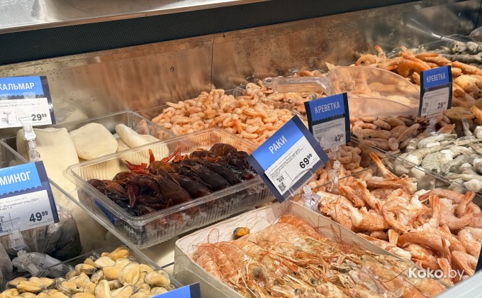 Санта Фиш - галерея 24