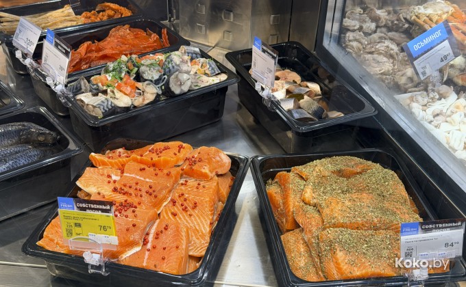 Санта Фиш - галерея 25