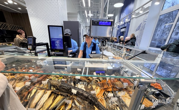 Санта Фиш - галерея 27