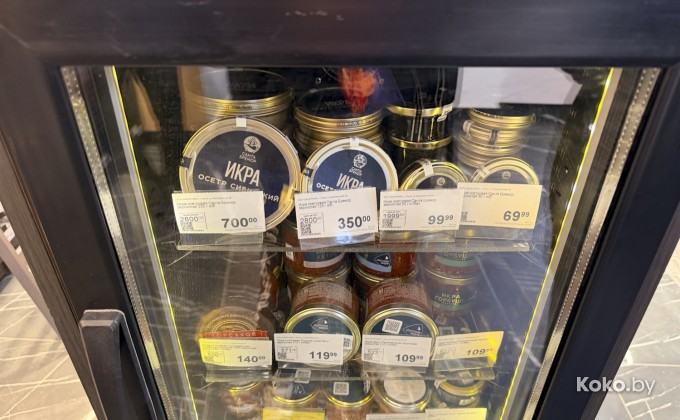 Санта Фиш - галерея 36