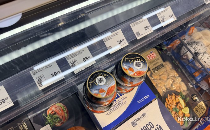 Санта Фиш - галерея 39