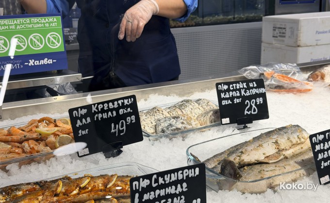 Санта Фиш - галерея 41