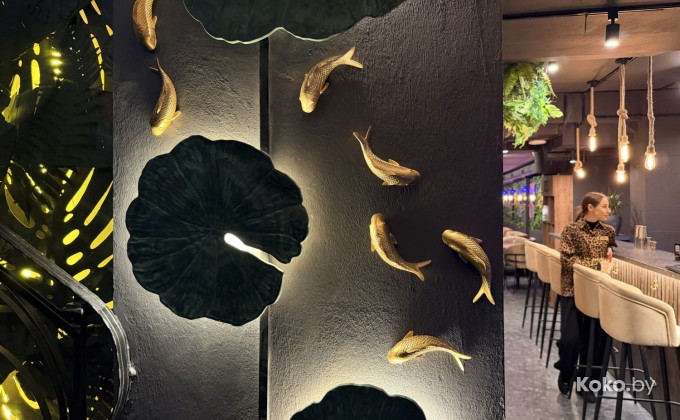 Amazonka / Амазонка - галерея 22