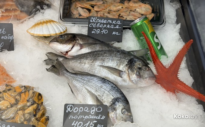 Рыбный дом морские сезоны - галерея 11