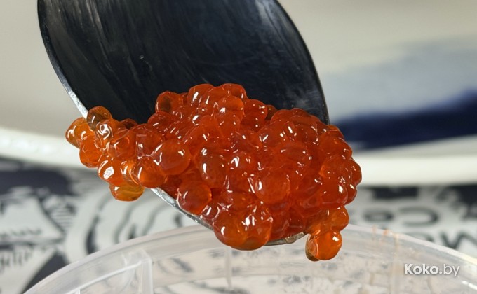 Рыбный дом морские сезоны - галерея 20