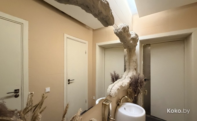 Белый Гусь - галерея 7