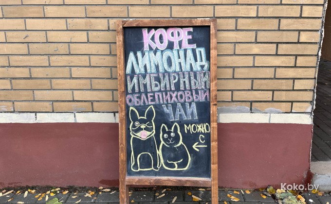 Кофе и свинки - галерея 3