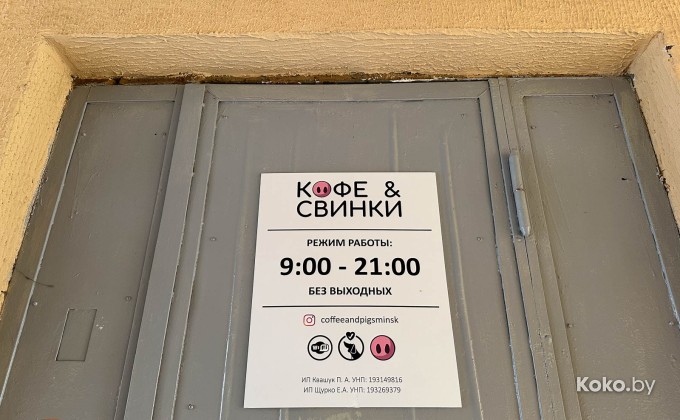 Кофе и свинки - галерея 7