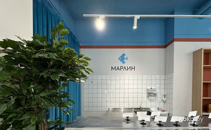 Marlin / Марлин - галерея 13