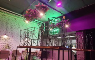 Mad Frog / Мэд Фрог