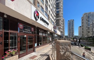 Sakaguchi / Сакагучи