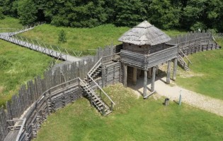 Беловежская пуща