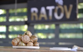 Ratov / Улитка