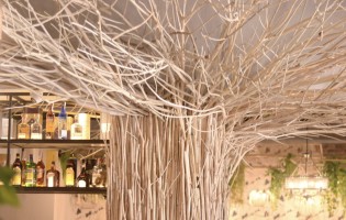 Sherwood / Шервуд