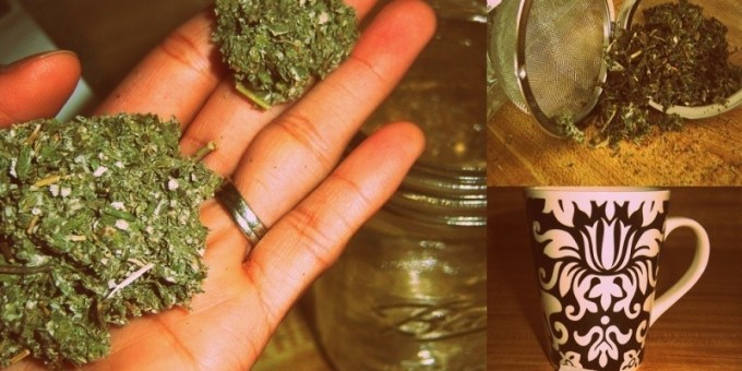 Чем полезны травяные чаи? 7 травяных рецептов чая