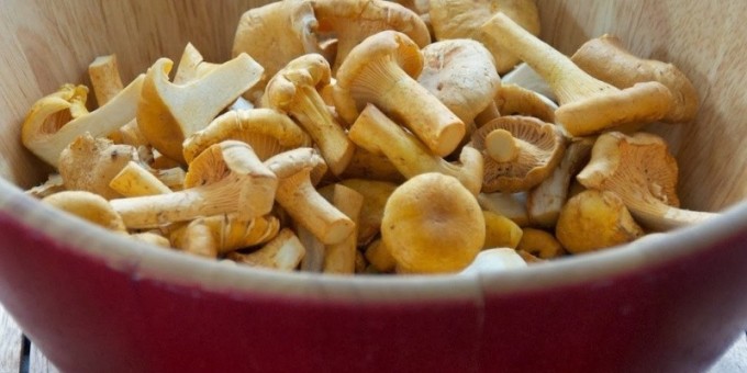 Способ засолки рыжиков