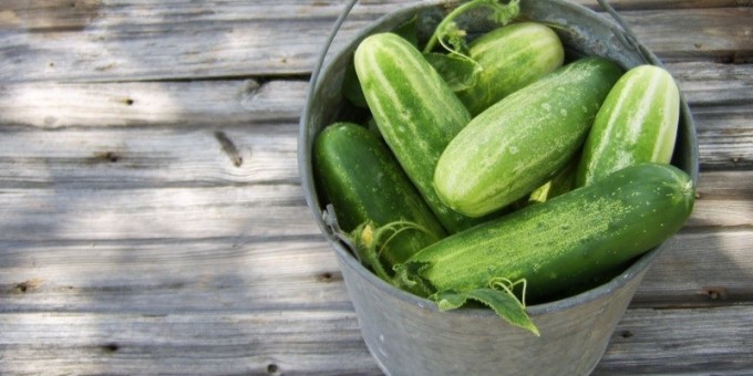 Зачем нужно есть огурцы? 14 здоровых причин кушать огурцы
