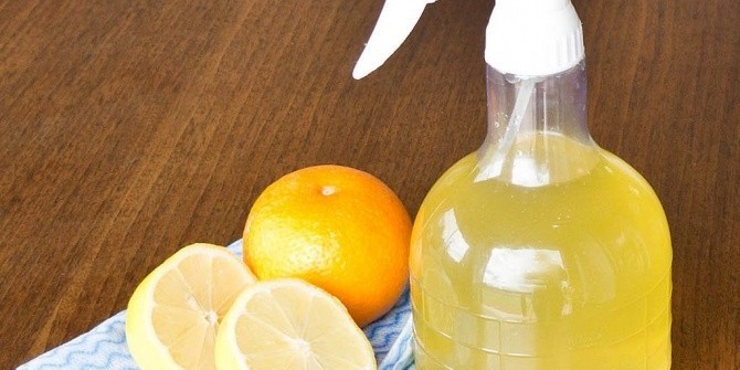 Самодельный нетоксичный спрей от пыли из цитрусовых