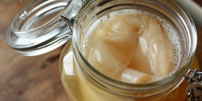 Чайный гриб, японский гриб, морской квас  - все что вы хотели знать об этом полезном напитке