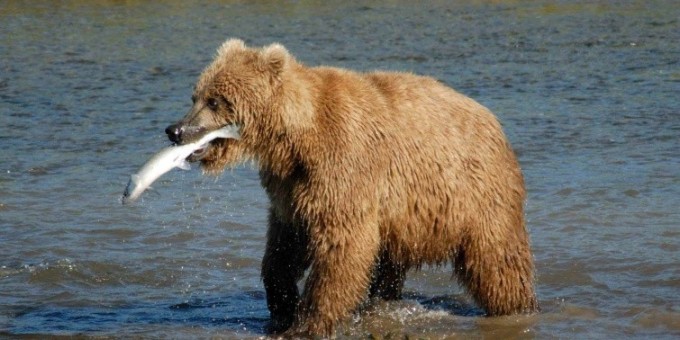 Что туристу стоит знать при посещении чужой страны – 25 табу в употреблении пищи