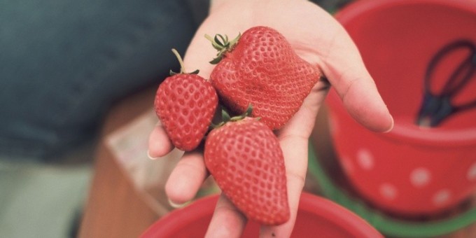 Хочешь узнать почему в Японии такие дорогие фрукты?