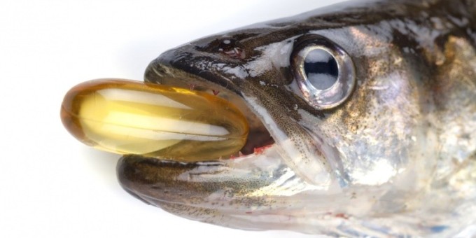 Почему тебе стоит начать принимать рыбий жир прямо сейчас