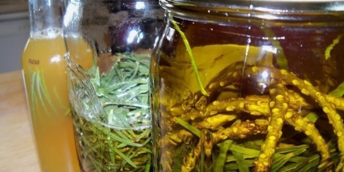 Целебные настои для восстановления сил в домашних условиях