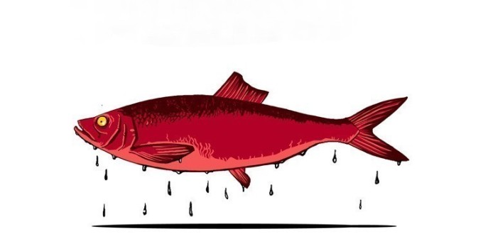 Маринуем филе сельди в в глинтвейне