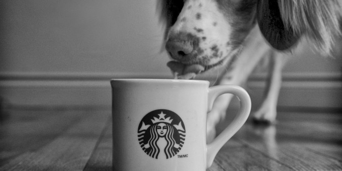 Как я искал кружку: Термокружка от Starbucks — "Bentley" среди кружек