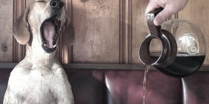 Чем Минск хуже? Один рабочий день городского кафе в Нижнем Новгороде